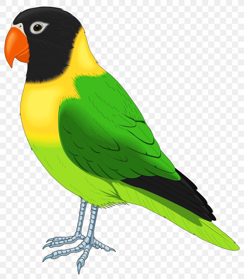 Lovebird Parrot Pet Clip Art, PNG, 2725x3120px, Bird, Beak, Bird Flight, Common Pet Parakeet, Fauna Download Free