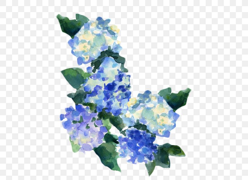 Blue Iris Flower, PNG, 500x594px, Watercolor Painting, Art, Bellflower, Bellflower Family, Blue Download Free