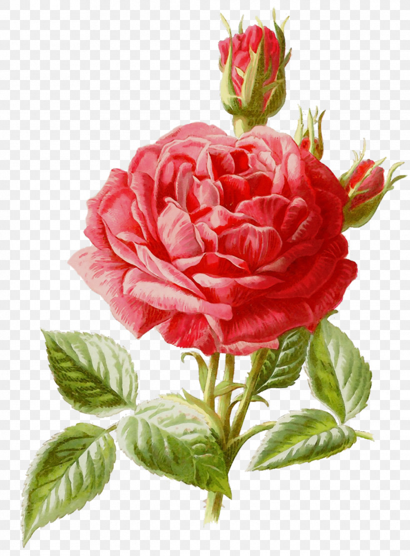 Floral Design, PNG, 2437x3307px, Watercolor, Artificial Flower, Camellia, Crossstitch, Cut Flowers Download Free