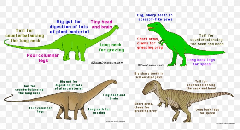 Tyrannosaurus Velociraptor Supersaurus Diagram, PNG, 1215x658px, Tyrannosaurus, Animal, Animal Figure, Area, Diagram Download Free