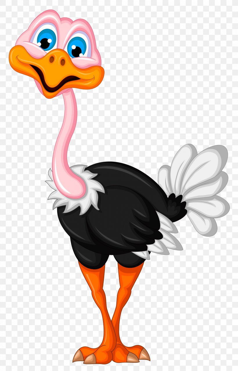 Common Ostrich Bird Clip Art, PNG, 3160x4928px, Common Ostrich, Art, Beak, Bird, Cartoon Download Free