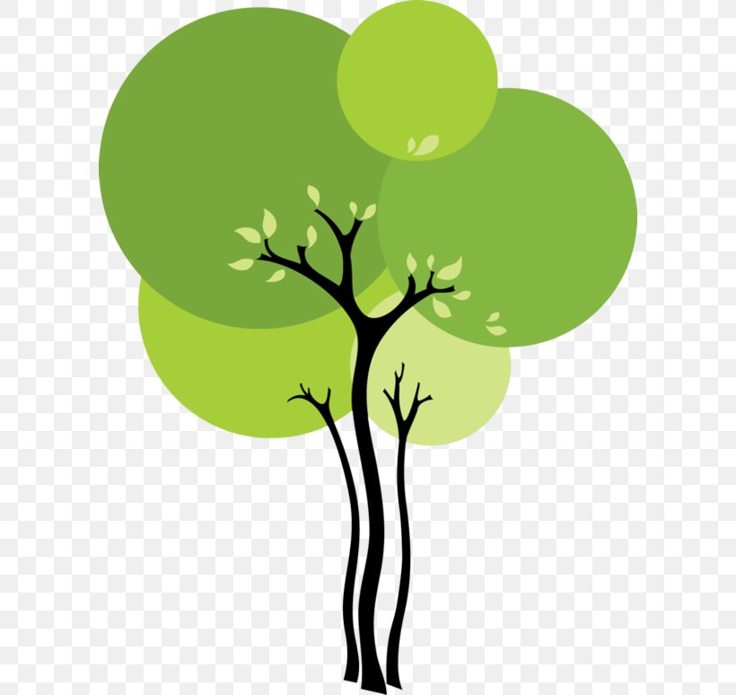 Green Tree Leaf Clip Art Plant, PNG, 600x774px, Green, Branch, Leaf, Plant, Plant Stem Download Free