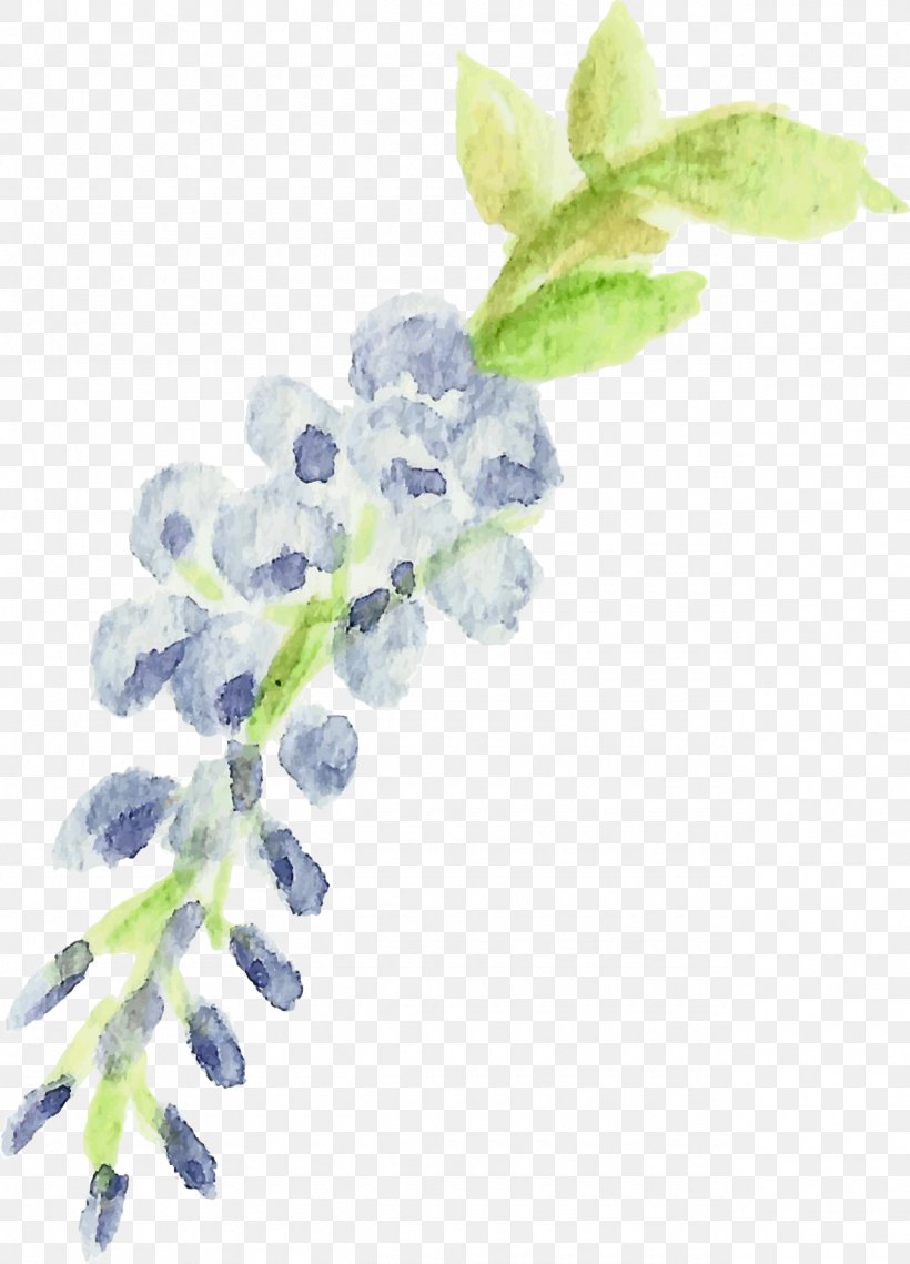 Lilac Violet Plant Stem Lavender, PNG, 1280x1778px, Lilac, Lavender, Plant, Plant Stem, Violet Download Free