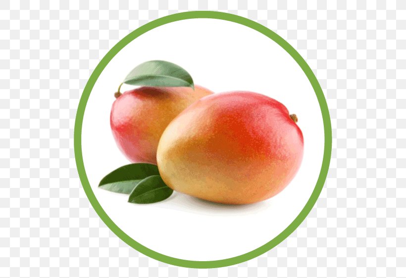 Mango Juice Tommy Atkins Fruit Ataulfo, PNG, 562x562px, Mango, Apple, Ataulfo, Citrus, Diet Food Download Free