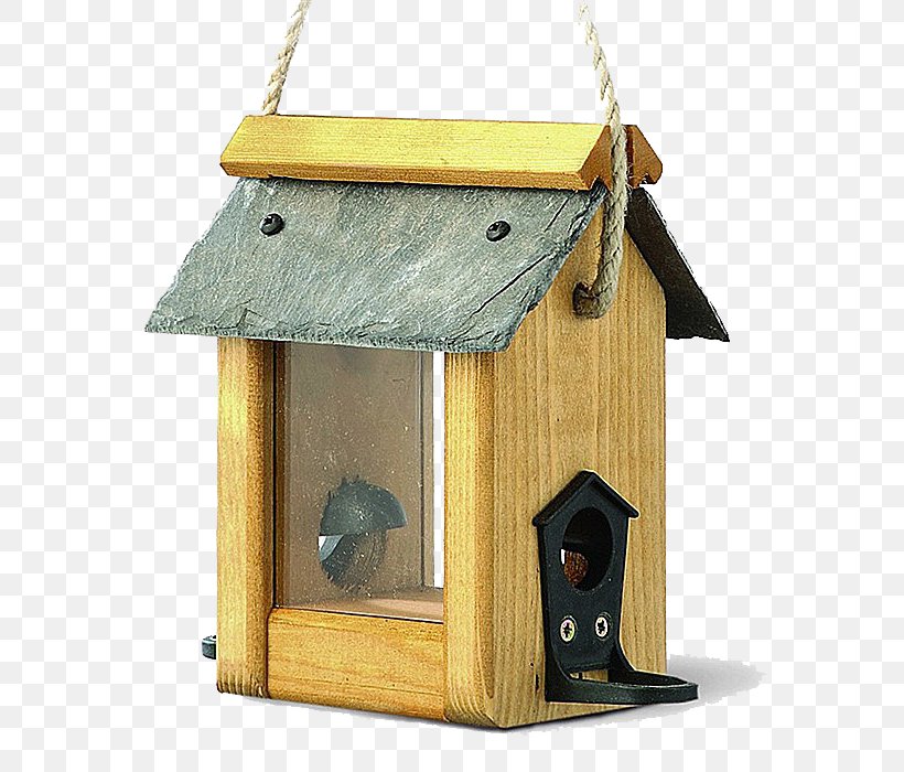 Bird Feeders Welland Nest Box Garden, PNG, 700x700px, Bird Feeders, Bird, Bird Feeder, Birdhouse, Garden Download Free