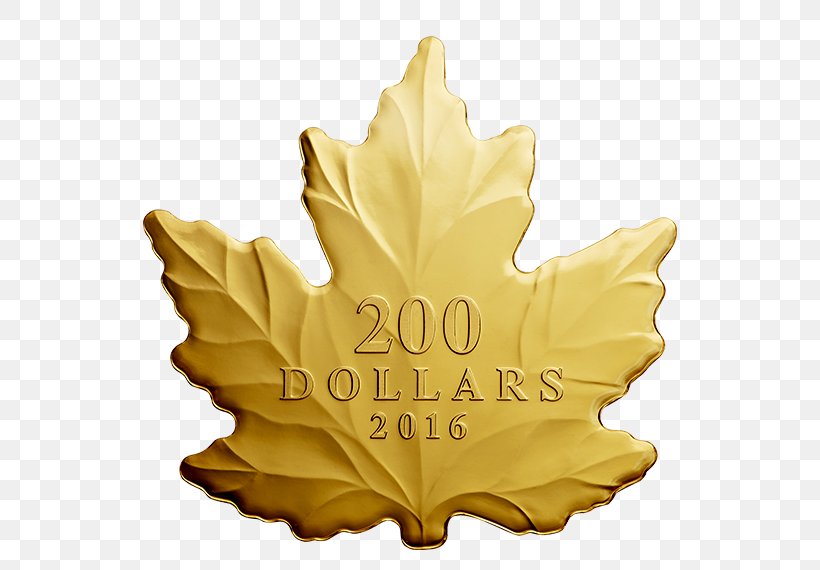 Canada Canadian Gold Maple Leaf Coin, PNG, 570x570px, Canada, Canada Goose, Canadian Gold Maple Leaf, Canadian Silver Maple Leaf, Coin Download Free