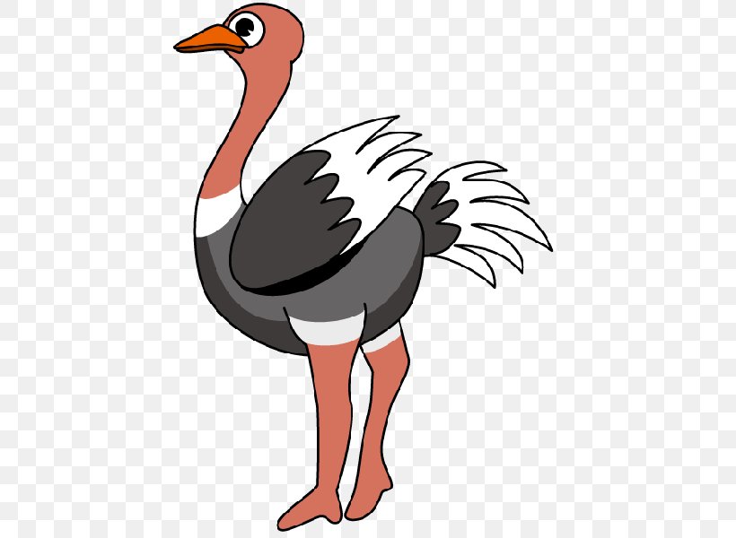 Common Ostrich Clip Art, PNG, 600x600px, Common Ostrich, Art, Beak, Bird, Chicken Download Free