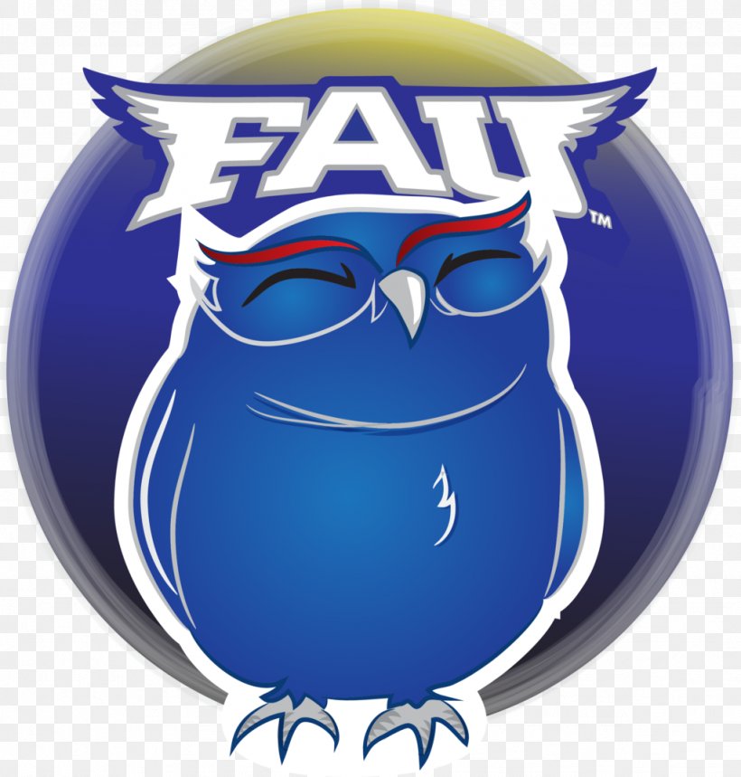 Florida Atlantic Owls Football Florida Atlantic University Florida Atlantic Owls Baseball Florida Atlantic Owls Women's Basketball, PNG, 1024x1073px, Owl, Bird, Bird Of Prey, Blue, Eyewear Download Free