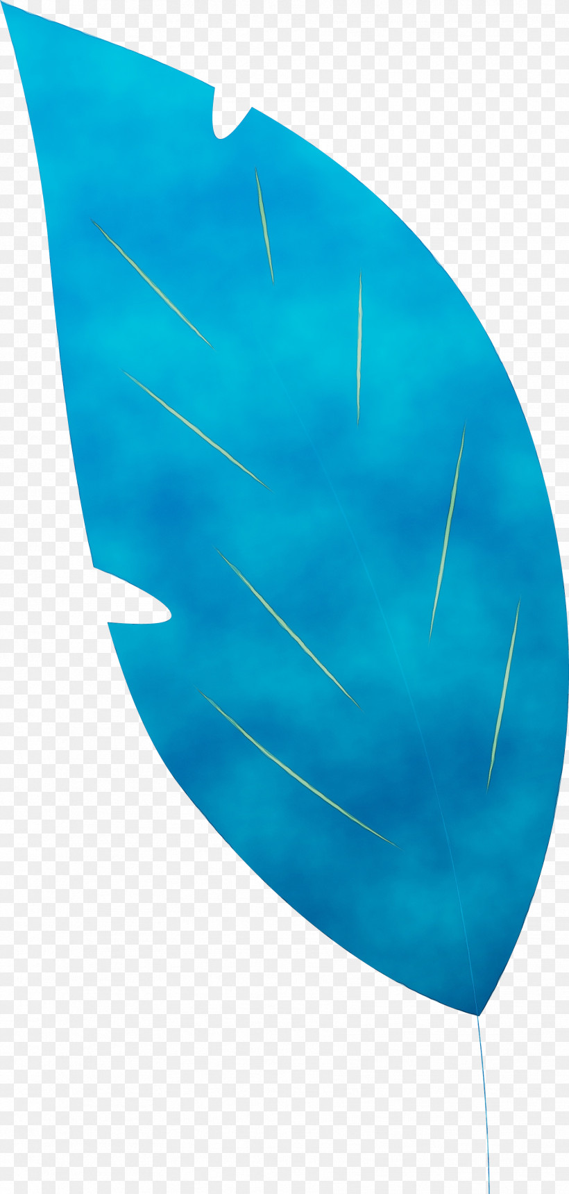 Angle Line Turquoise, PNG, 1774x3721px, Leaf, Angle, Line, Paint, Turquoise Download Free