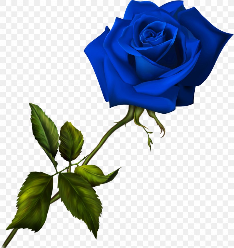 Blue Rose Flower Garden Roses, PNG, 1135x1200px, Blue, Adobe Fireworks, Blue Rose, Bluegreen, Color Download Free