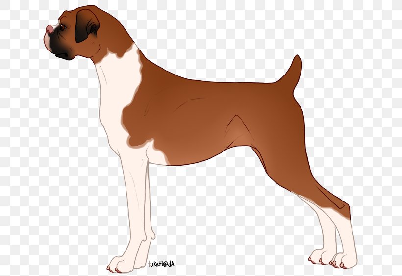 Dog Breed English Foxhound Harrier Boxer, PNG, 656x563px, Dog Breed, Boxer, Breed, Carnivoran, Dog Download Free
