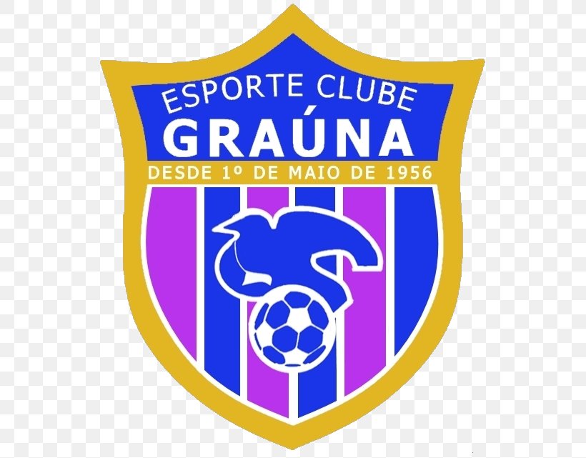 Sports Association Guarapari Itapemirim Logo, PNG, 556x641px, 2018, Sports, Area, Banner, Brand Download Free
