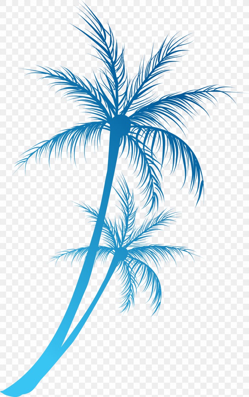 Arecaceae Royalty-free Clip Art, PNG, 2099x3347px, Arecaceae, Arecales, Blue, Branch, Coconut Download Free