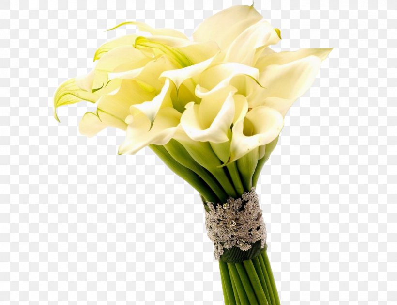 Arum-lily Flower Bouquet Callalily Wallpaper, PNG, 1406x1080px, Arumlily, Artificial Flower, Arum Lilies, Bulb, Calla Lily Download Free
