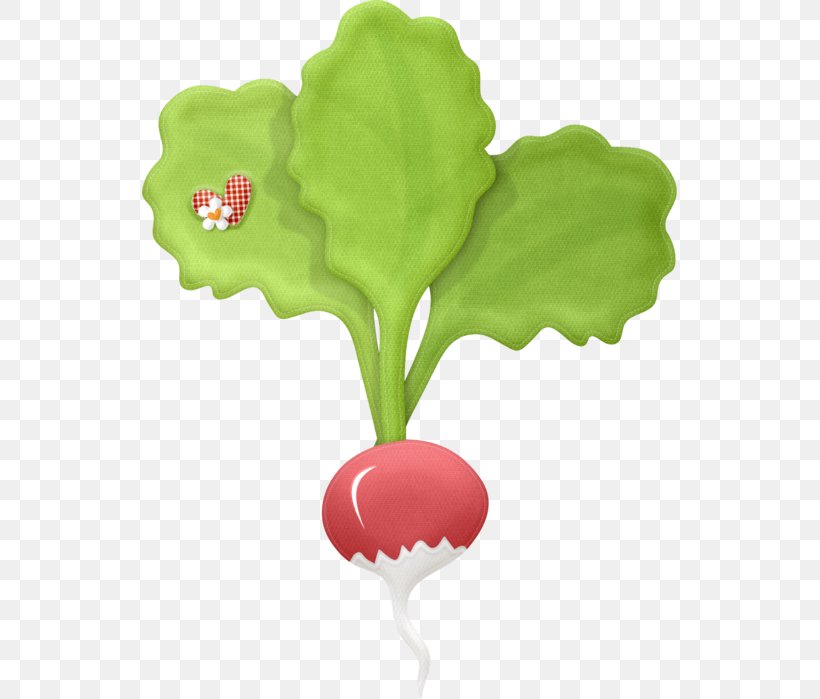 Garden Radish Drawing Vegetable Common Beet Clip Art, PNG, 535x699px, Garden Radish, Common Beet, Decoupage, Drawing, Flower Download Free