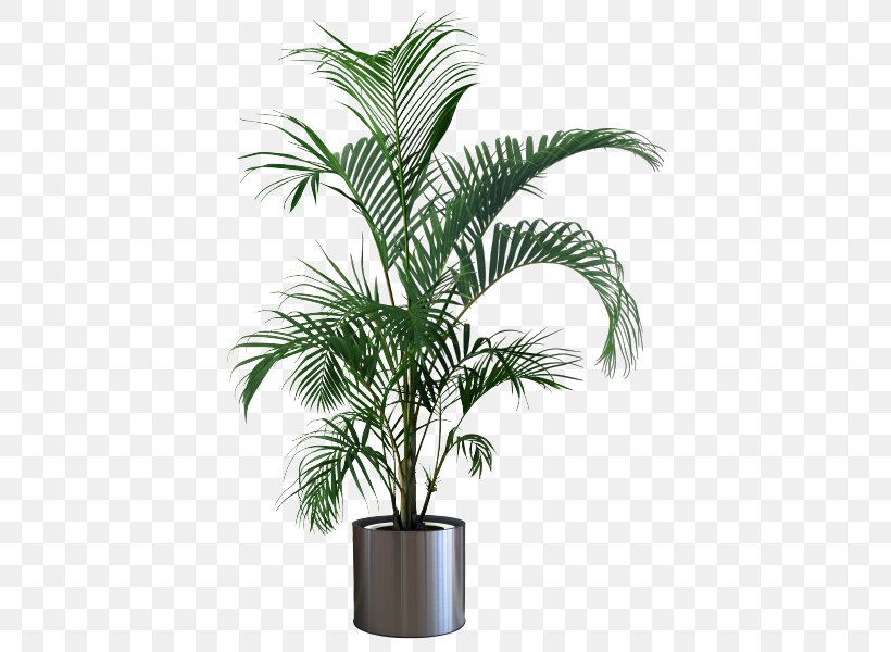 Houseplant Flowerpot Areca Palm Tree, PNG, 420x600px, Houseplant, Areca Palm, Arecaceae, Arecales, Attalea Speciosa Download Free