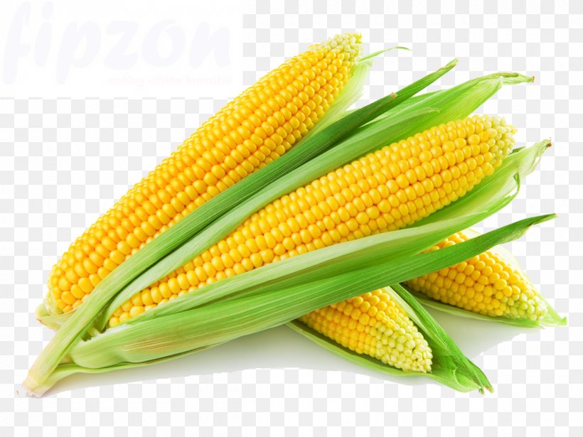 Sweet Corn Popcorn Flint Corn Corn On The Cob Vegetable, PNG, 1200x900px, Sweet Corn, Baby Corn, Chayote, Commodity, Corn Kernel Download Free