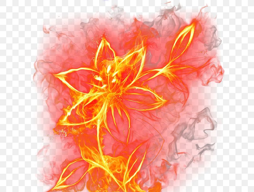 Burning Flowers, PNG, 650x619px, Flower, Combustion, Cut Flowers, Fire, Flame Download Free