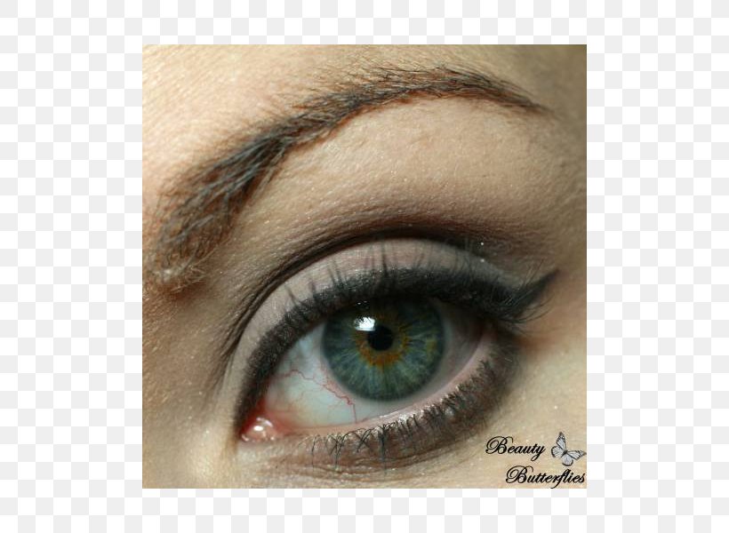 Eyelash Extensions Eye Liner Eye Shadow Lip Liner, PNG, 800x600px, Watercolor, Cartoon, Flower, Frame, Heart Download Free