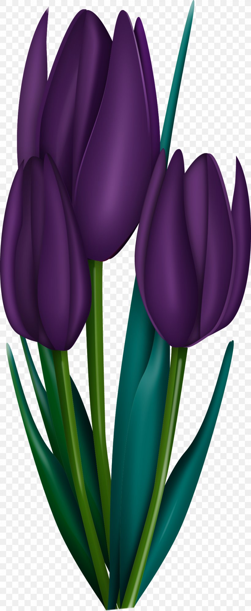 Flower Art Painting Drawing Clip Art, PNG, 975x2374px, Flower, Art, Crocus, Cut Flowers, Decoupage Download Free