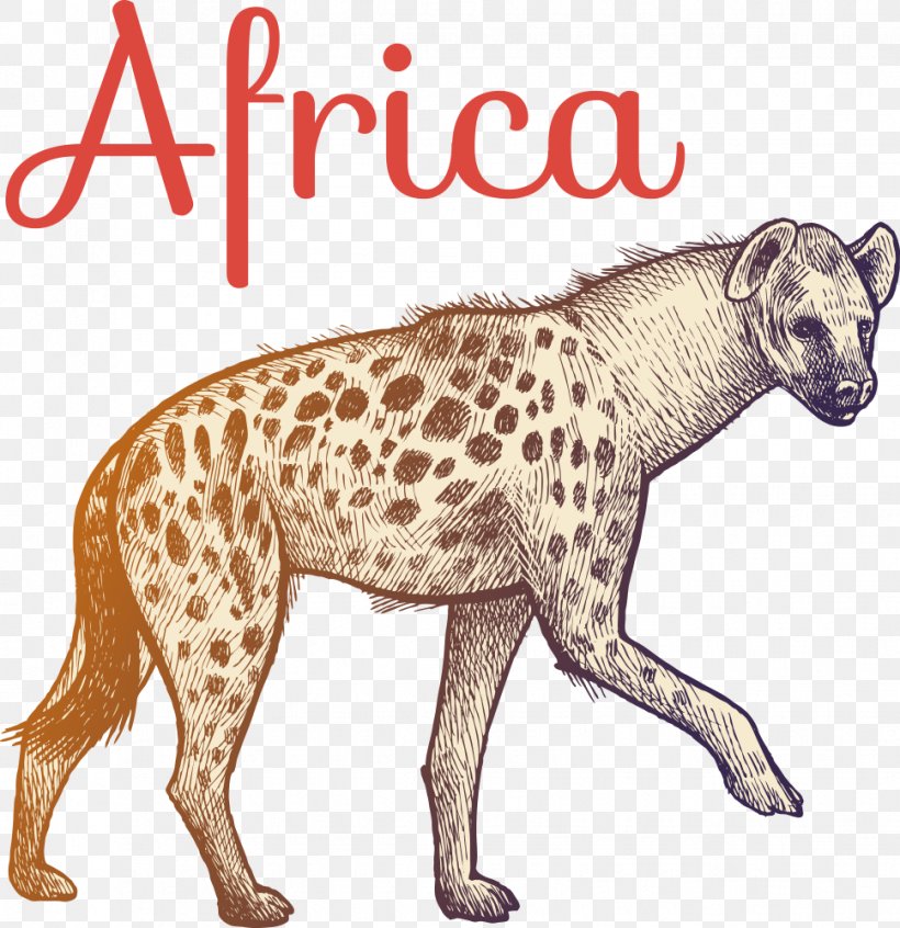 Hyena Illustration, PNG, 969x1000px, Hyena, Animal, Big Cats, Carnivoran, Cartoon Download Free