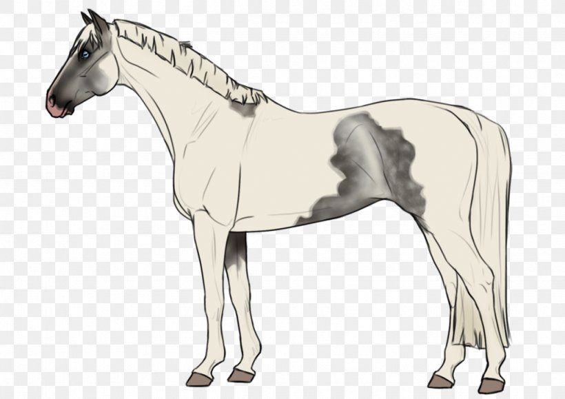 Mane Foal Horse Pony Stallion, PNG, 1024x724px, Mane, Animal Figure, Bit, Bridle, Colt Download Free