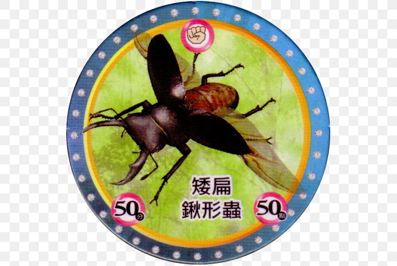 Mushiking: The King Of Beetles Stag Beetle Milk Caps Dorcus Titanus, PNG, 550x550px, Beetle, Forest, Game, Insect, Invertebrate Download Free