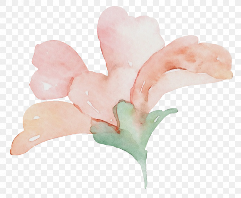 Petal Flower, PNG, 850x700px, Watercolor, Flower, Paint, Petal, Wet Ink Download Free