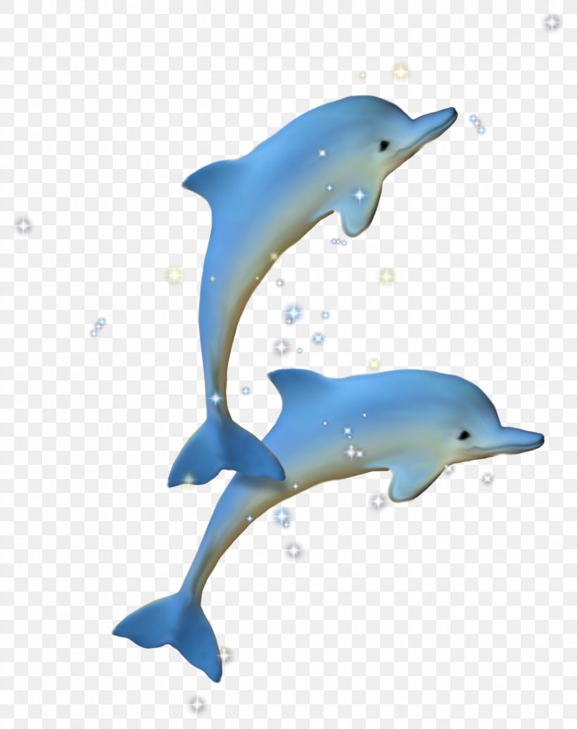 Dolphin Clip Art Drawing Image, PNG, 1267x1600px, Dolphin, Blog, Centerblog, Collage, Common Bottlenose Dolphin Download Free