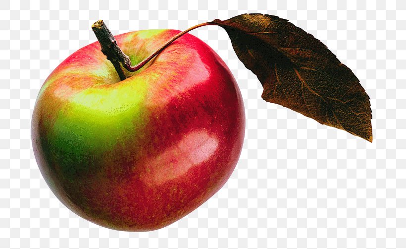 Accessory Fruit The Story Of The Apple, PNG, 744x502px, Fruit, Accessory Fruit, Apple, Auglis, Banana Download Free