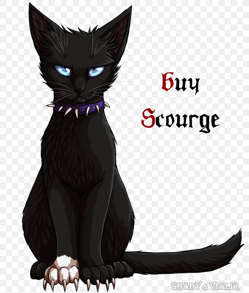 Black Cat Kitten Warriors Whiskers, PNG, 798x962px, Black Cat, Ashfur, Book, Carnivoran, Cat Download Free