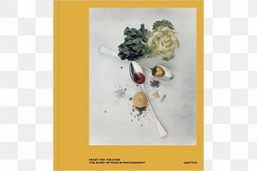 Global Feast - Feast For The Eyes: The Story Of Food In Photography Something So Clear Visual Feast: Contemporary Food Photography And Styling PNG