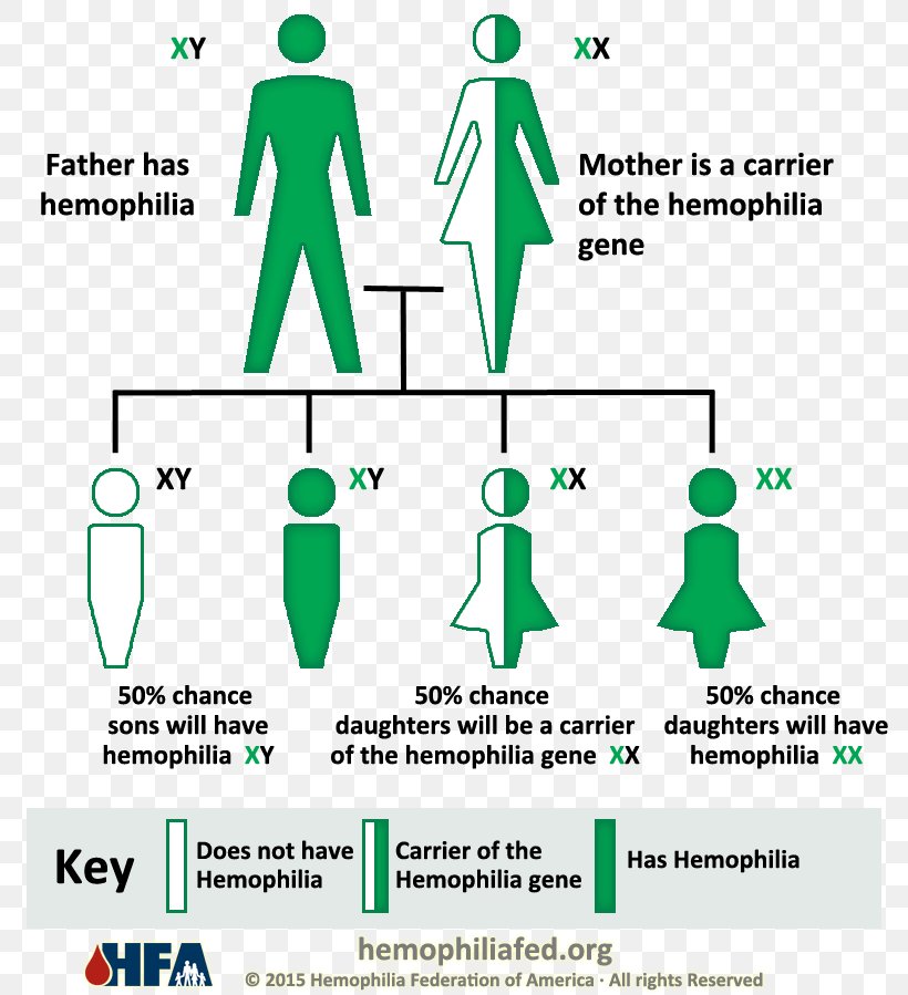 Haemophilia A Genetic Disorder Haemophilia B Coagulopathy, PNG, 790x899px, Haemophilia, Area, Bleeding, Blood, Brand Download Free