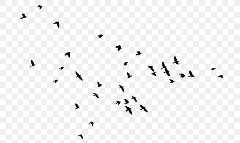 Bird Clip Art Flock Image, PNG, 736x489px, Bird, Animal Migration, Area, Beak, Bird Migration Download Free