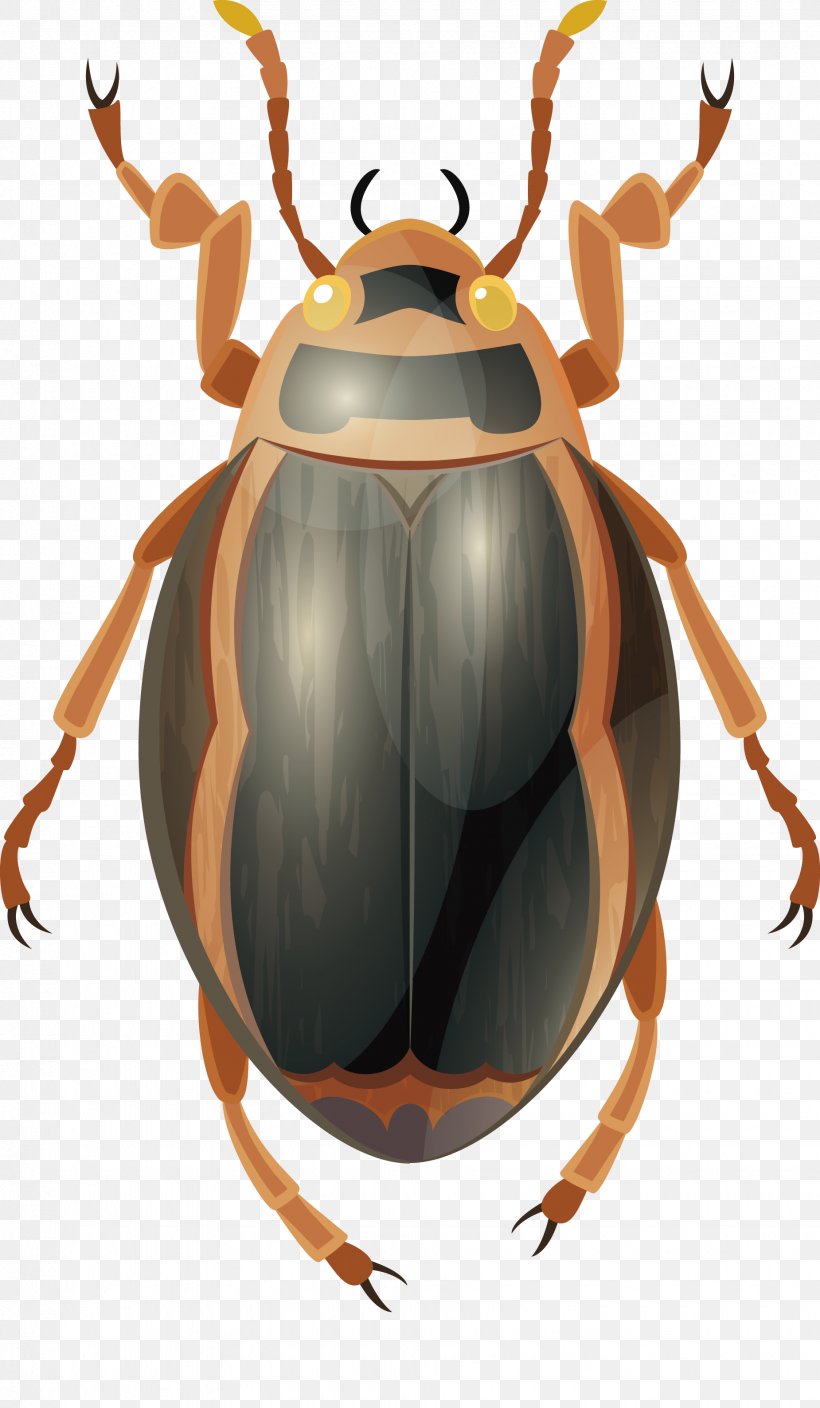 Insect Dung Beetle, PNG, 1850x3178px, Insect, Antler, Arthropod, Beetle, Cartoon Download Free