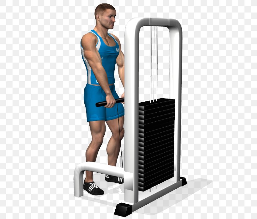 Shoulder Fitness Centre, PNG, 700x700px, Shoulder, Abdomen, Arm, Exercise Equipment, Exercise Machine Download Free