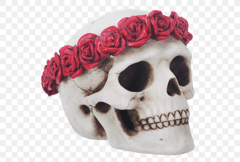 Skull Calavera Flower Wreath Crown, PNG, 555x555px, Skull, Bone, Calavera, Crown, Day Of The Dead Download Free