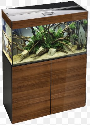 Aquariums Fishkeeping Glass Ciano Aqua PNG