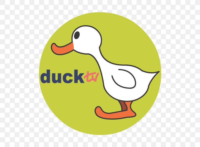 Duck TV Television Channel Logo Television Show, PNG, 600x600px, Duck Tv, Area, Artwork, Beak, Bird Download Free