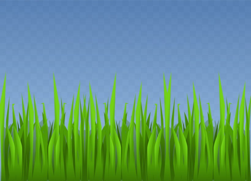 Lawn Grasses Clip Art, PNG, 1500x1083px, Lawn, Animation, Field, Grass, Grass Family Download Free