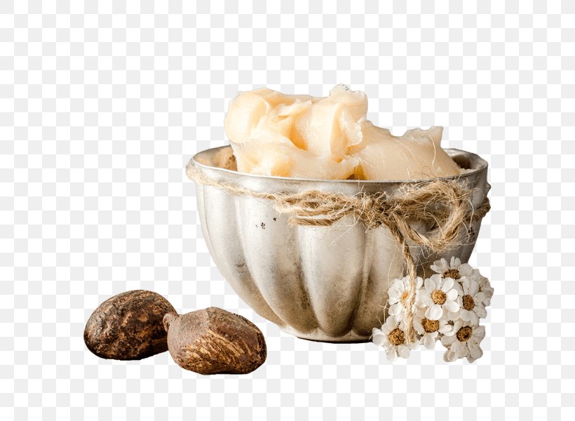 Lotion Cream Shea Butter Vitellaria Moisturizer, PNG, 600x600px, Lotion, Butter, Cosmetics, Cream, Cup Download Free