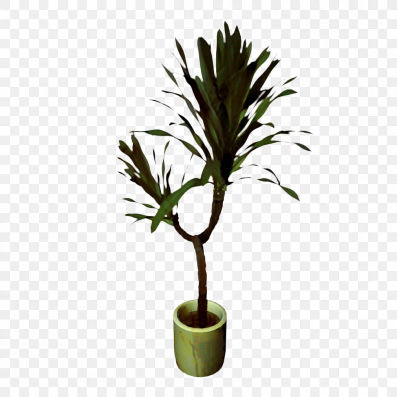 Palm Trees Flowerpot Houseplant Plant Stem Plants, PNG, 1000x1000px, Palm Trees, Arecales, Flower, Flowering Plant, Flowerpot Download Free