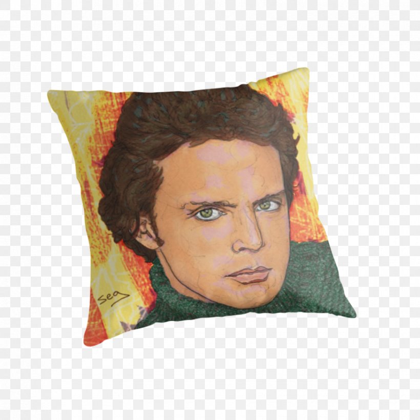 Throw Pillows Cushion Portrait, PNG, 875x875px, Throw Pillows, Cushion, Pillow, Portrait, Throw Pillow Download Free
