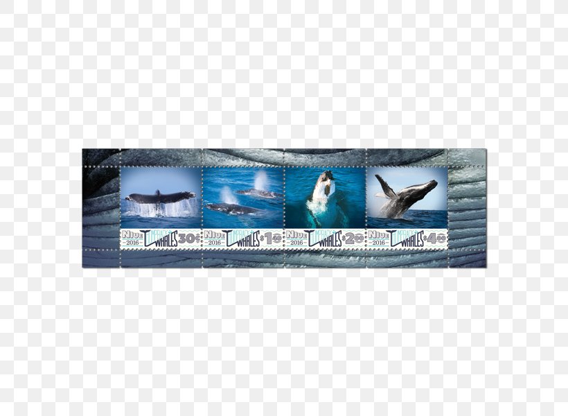 Advertising Marine Mammal, PNG, 600x600px, Advertising, Mammal, Marine Mammal Download Free