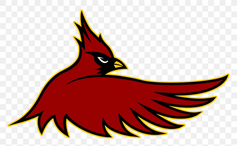 Cardinal Hayes High School Arizona Cardinals St. Louis Cardinals American Football NFL, PNG, 2070x1276px, Cardinal Hayes High School, American Football, Arizona Cardinals, Beak, Bird Download Free