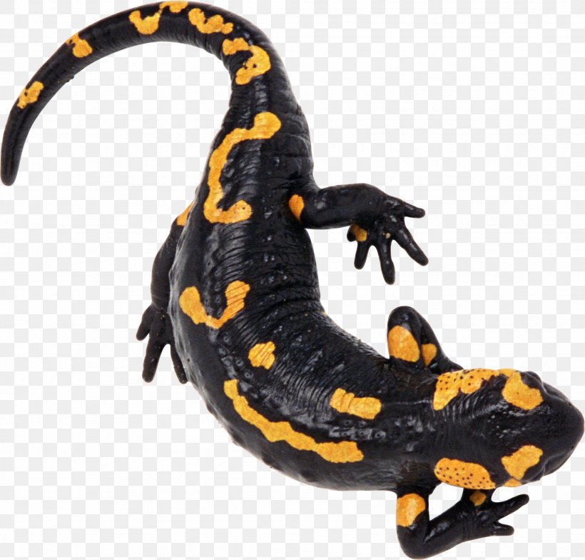 Newt Fire Salamander Lizard Reptile Alpine Salamander, PNG, 1846x1765px, Newt, Alpine Salamander, Amphibian, Animal Figure, Axolotl Download Free