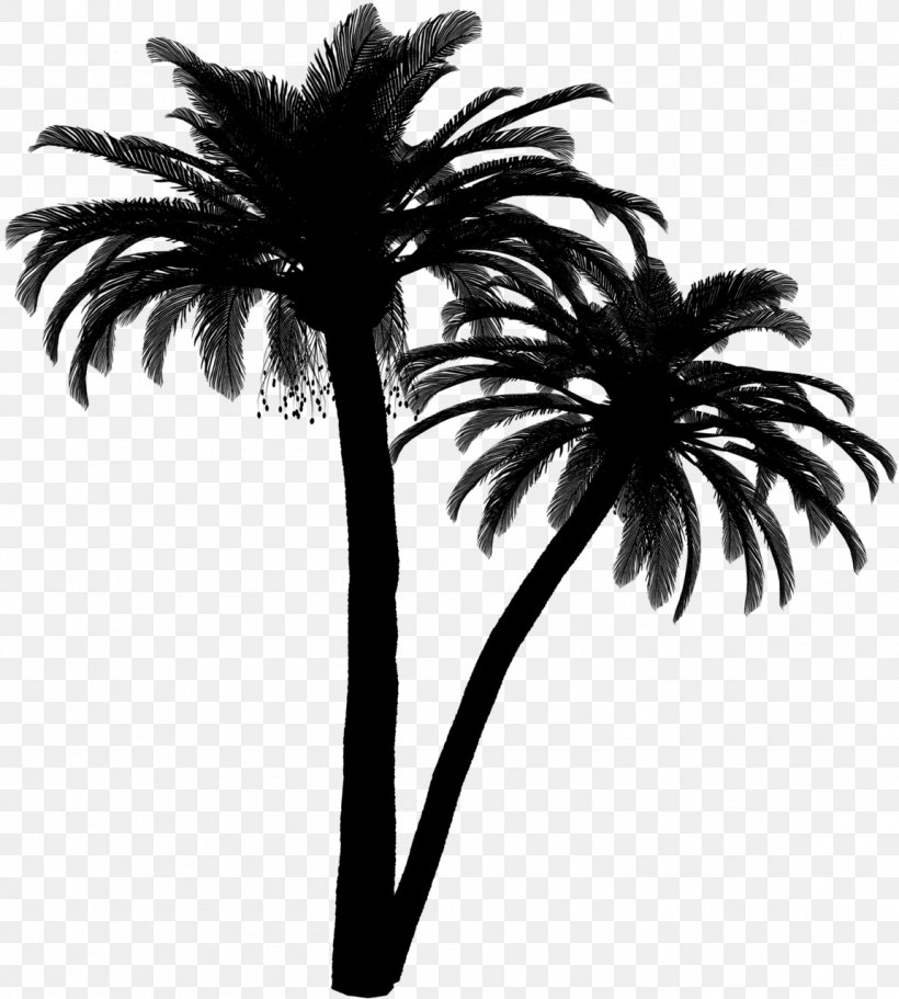 Palm Trees Black & White, PNG, 1152x1280px, Palm Trees, Arecales, Attalea Speciosa, Black White M, Blackandwhite Download Free