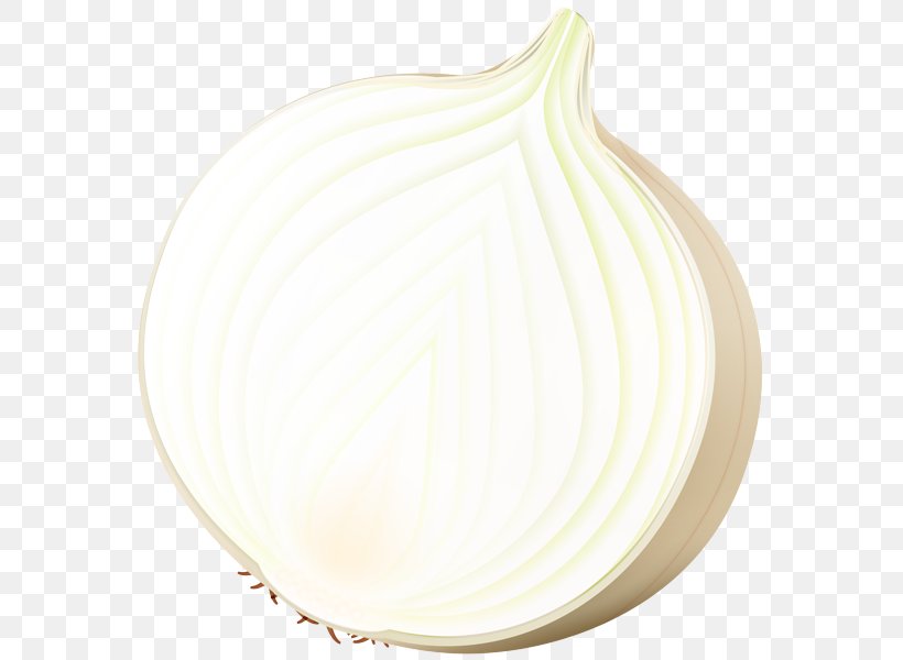White Onion Dishware Plate Plant, PNG, 576x600px, White, Allium, Amaryllis Family, Ceiling, Dishware Download Free