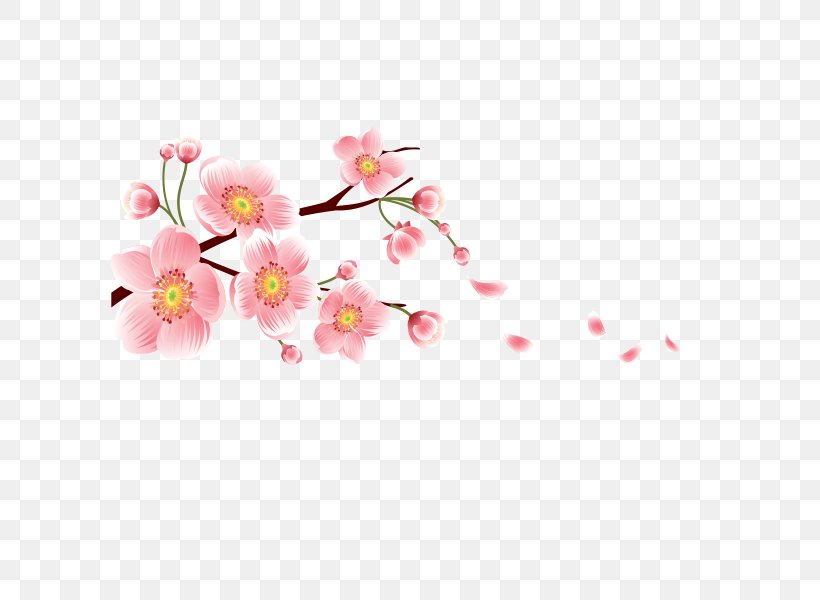 Cherry Blossom Image Flower Graphics, PNG, 600x600px, 2018, Blossom, Art, Branch, Cherry Blossom Download Free