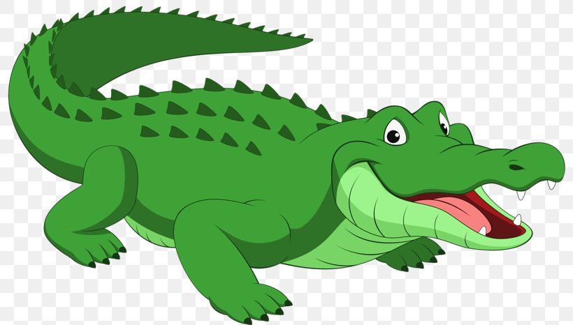 Crocodile Alligator Reptile Cartoon, PNG, 800x466px, Crocodile, Alligator,  Cartoon, Crocodilia, Drawing Download Free